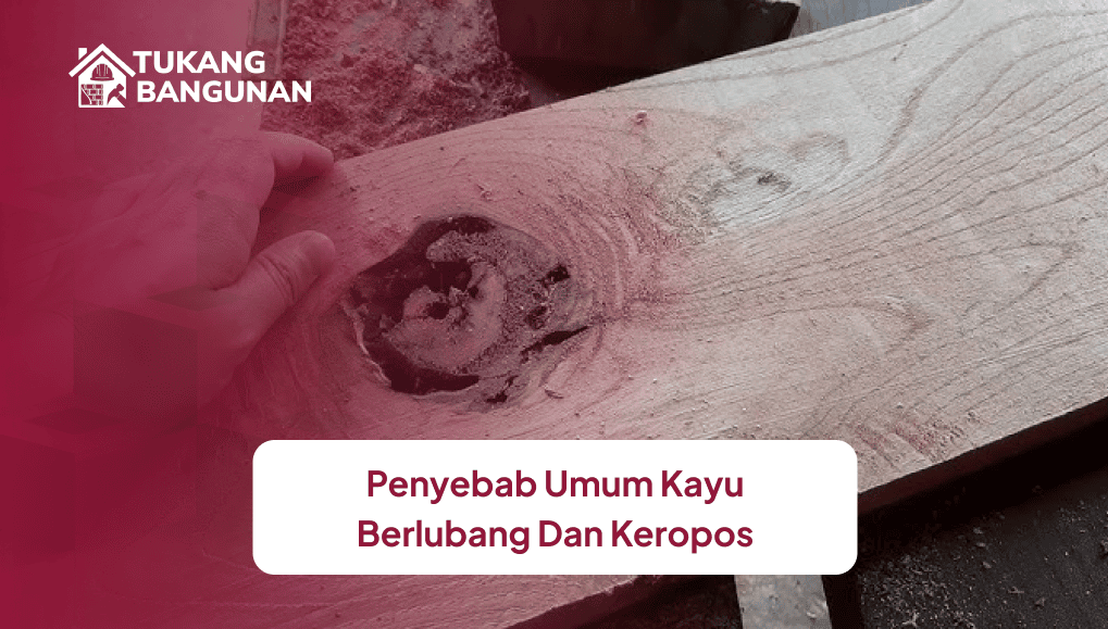 Penyebab Umum Kayu Berlubang dan Keropos