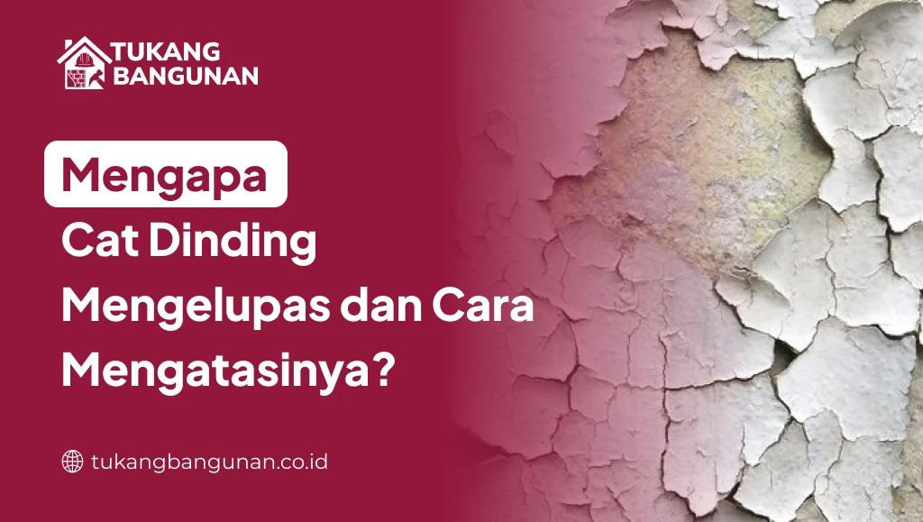 Mengapa Cat Dinding Mengelupas dan Cara Mengatasinya