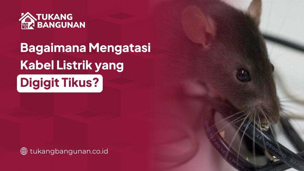 Bagaimana Mengatasi Kabel Listrik yang Digigit Tikus?