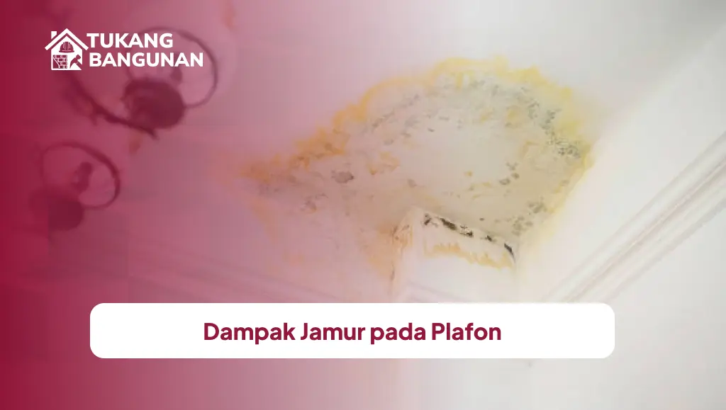 Dampak Jamur pada Plafon