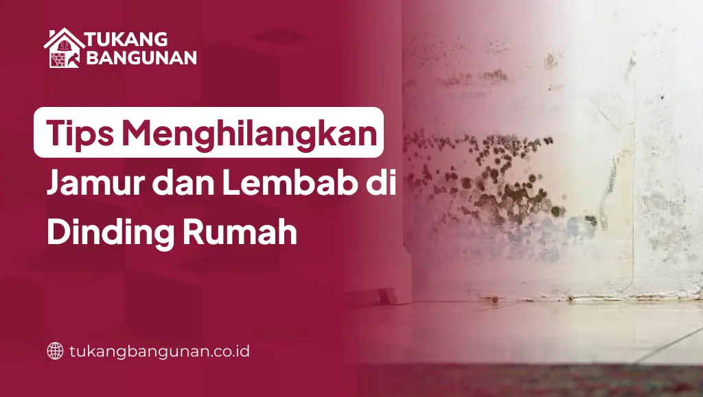 Tips Menghilangkan Jamur dan Lembab di Dinding Rumah