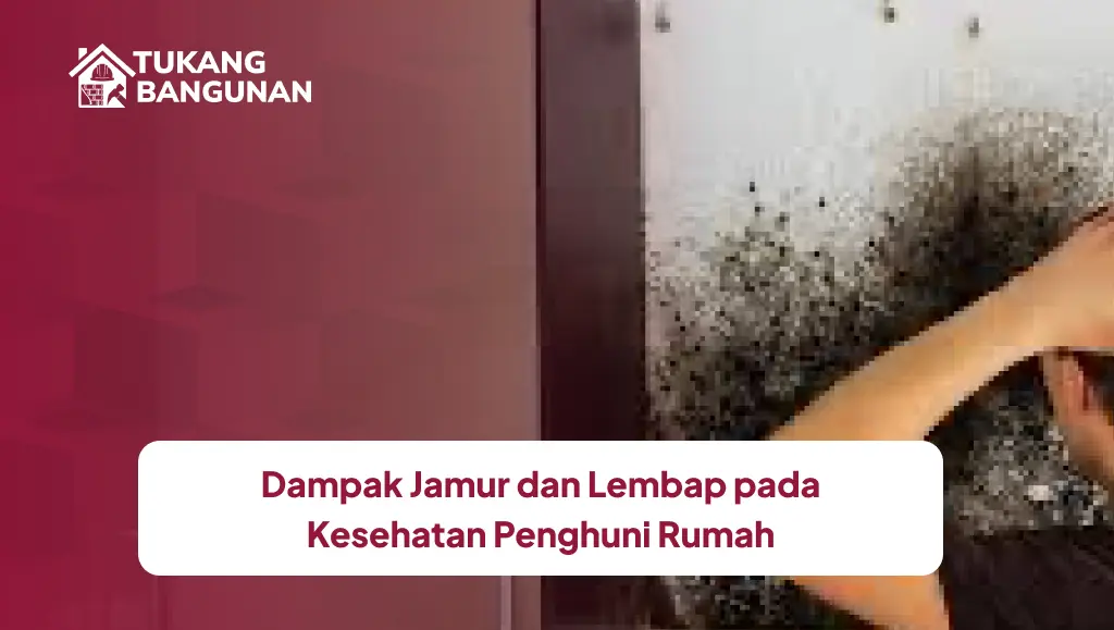 Dampak Jamur dan Lembap pada Kesehatan Penghuni Rumah