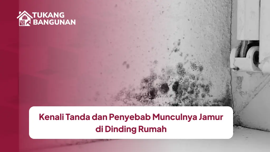 Kenali Tanda dan Penyebab Munculnya Jamur di Dinding Rumah