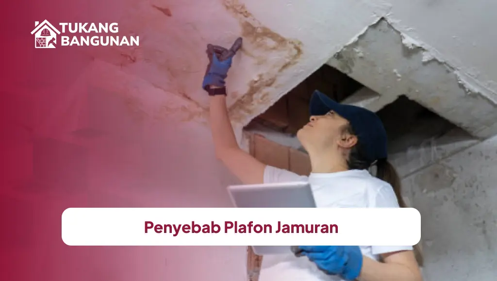 Penyebab Plafon Jamuran