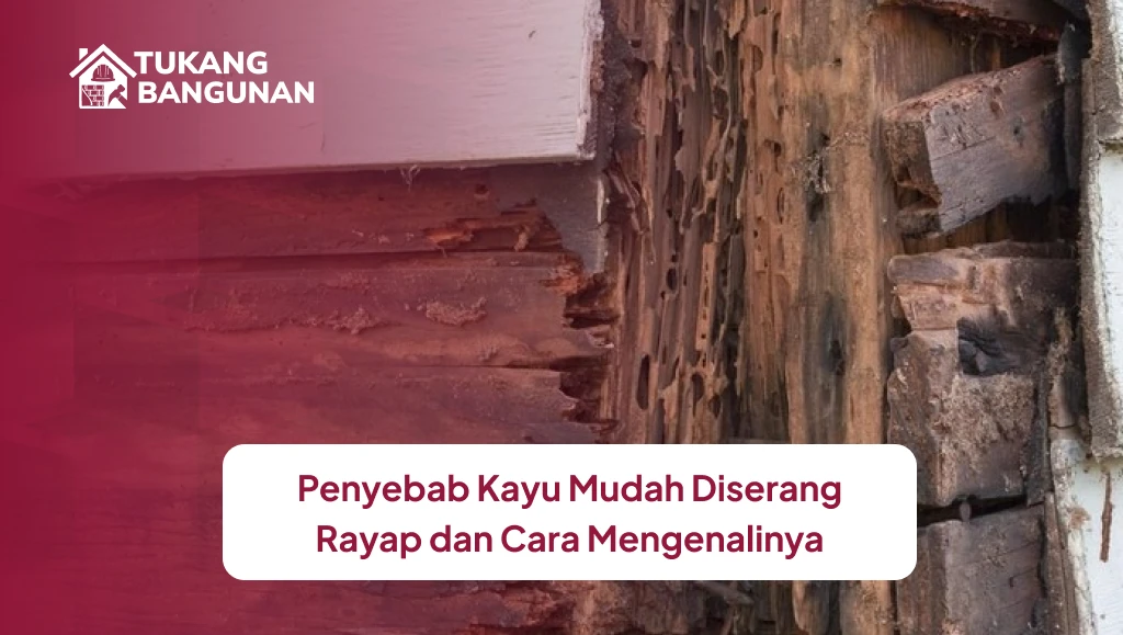 Penyebab Kayu Mudah Diserang Rayap dan Cara Mengenalinya