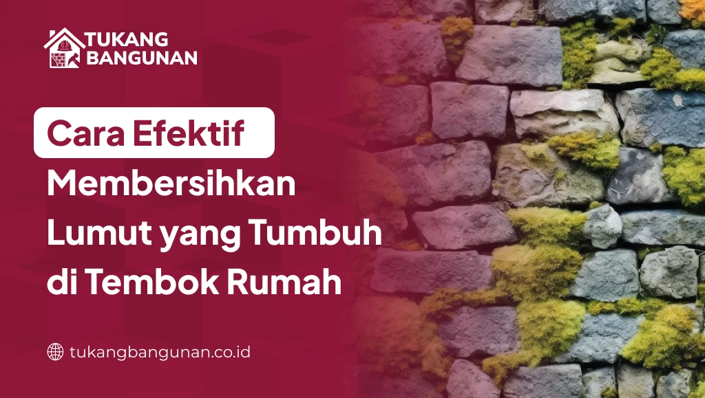 Cara Efektif Membersihkan Lumut yang Tumbuh di Tembok Rumah