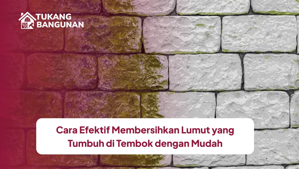 Cara Efektif Membersihkan Lumut yang Tumbuh di Tembok dengan Mudah