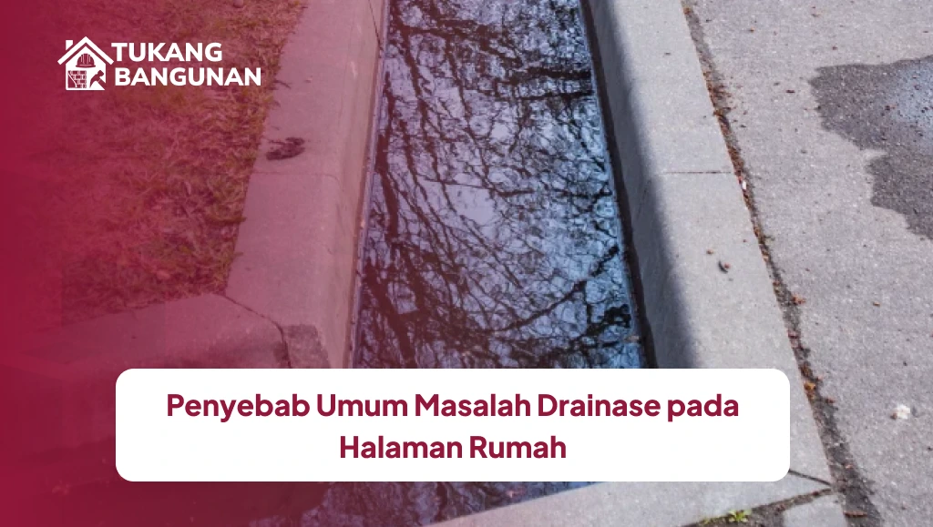Penyebab Umum Masalah Drainase pada Halaman Rumah