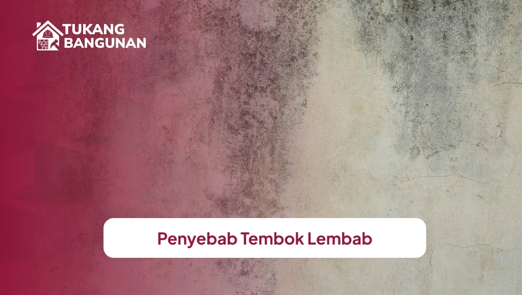 Penyebab Tembok Lembab