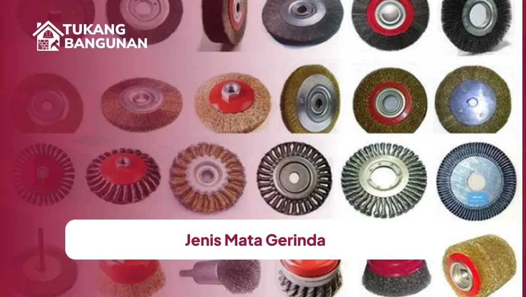Jenis Mata Gerinda