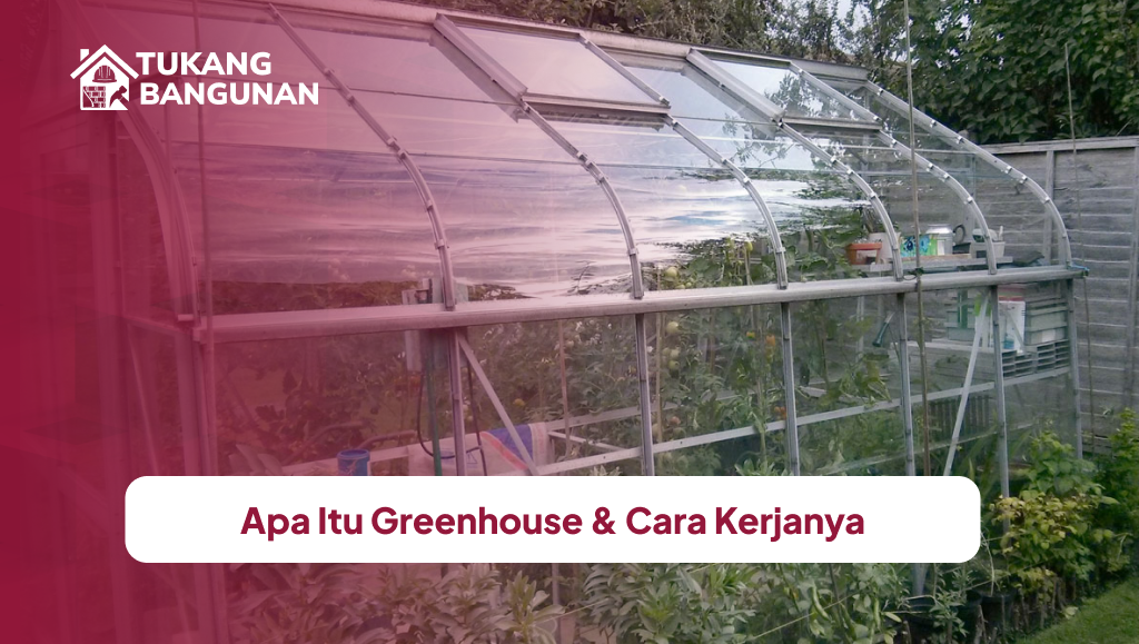 Apa Itu Greenhouse & Cara Kerjanya