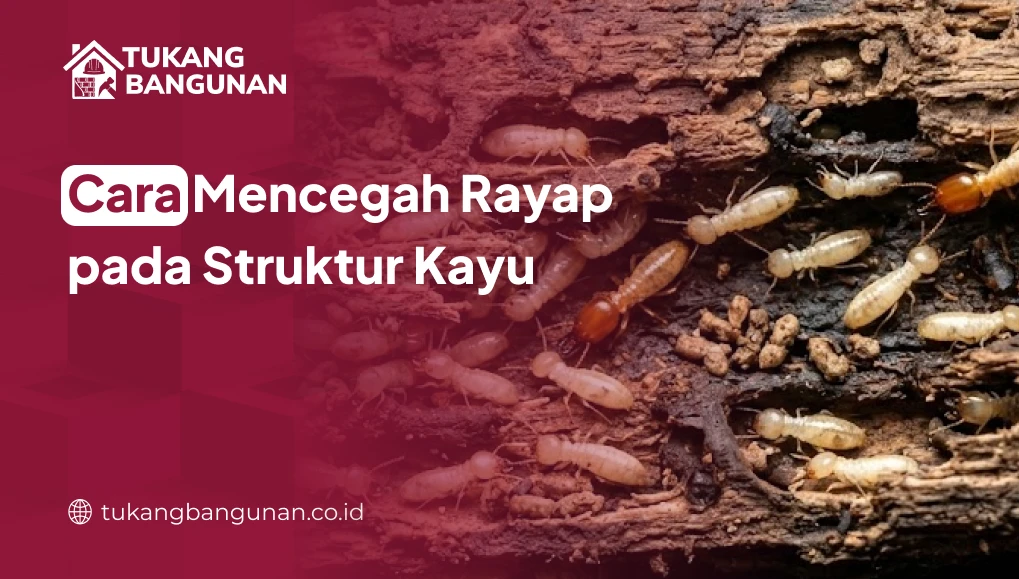 Cara Mencegah Rayap pada Struktur Kayu