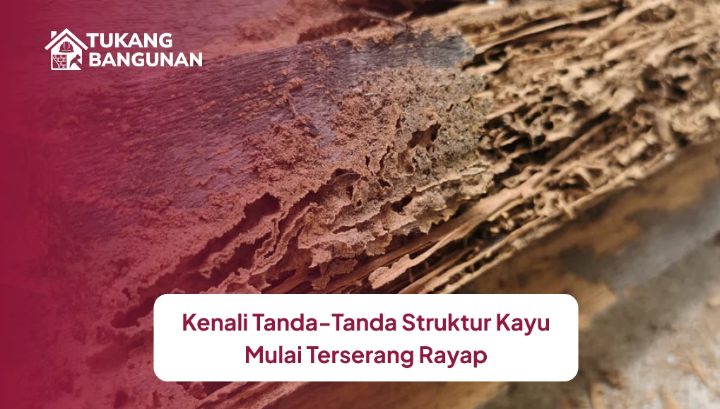 Kenali Tanda-Tanda Struktur Kayu Mulai Terserang Rayap