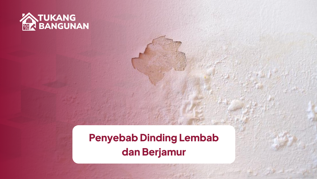 Penyebab Dinding Lembab dan Berjamur