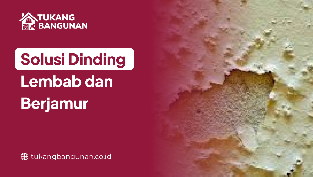 Solusi Dinding Lembab