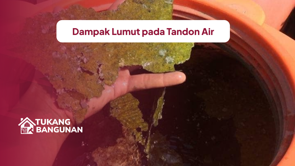 Dampak Lumut pada Tandon Air