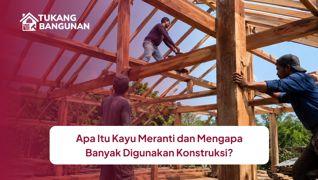 Apa Itu Kayu Meranti dan Mengapa Banyak Digunakan Konstruksi?