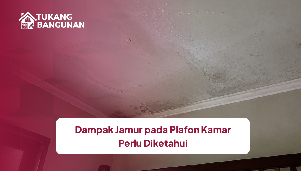 dampak_jamur_pada_plafon_kamar_perlu_diketahui_1x