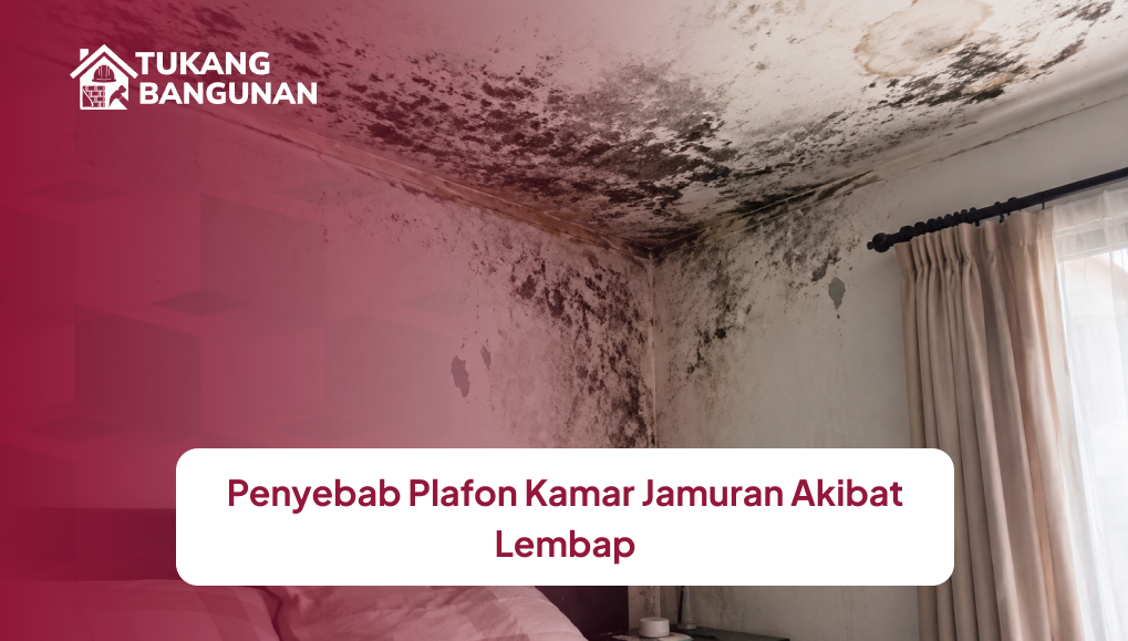 penyebab_plafon_kamar_jamuran_akibat_lembap_1x